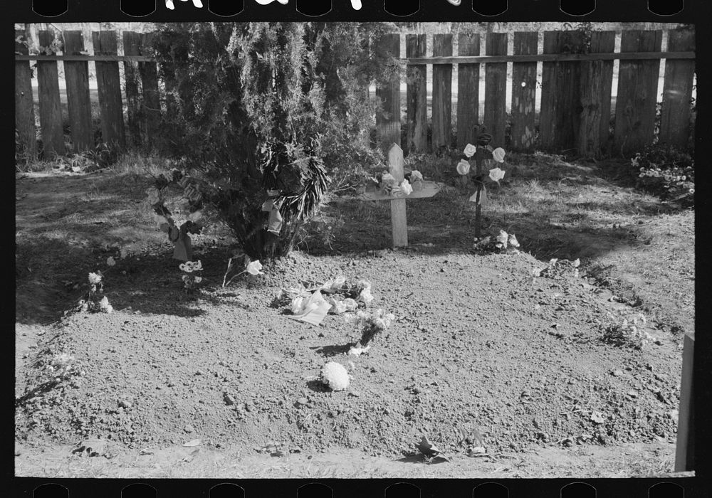 [Untitled photo, possibly related to: Decorated graves in cemetery, All Saints' Day, New Roads, Louisiana, with chickens…
