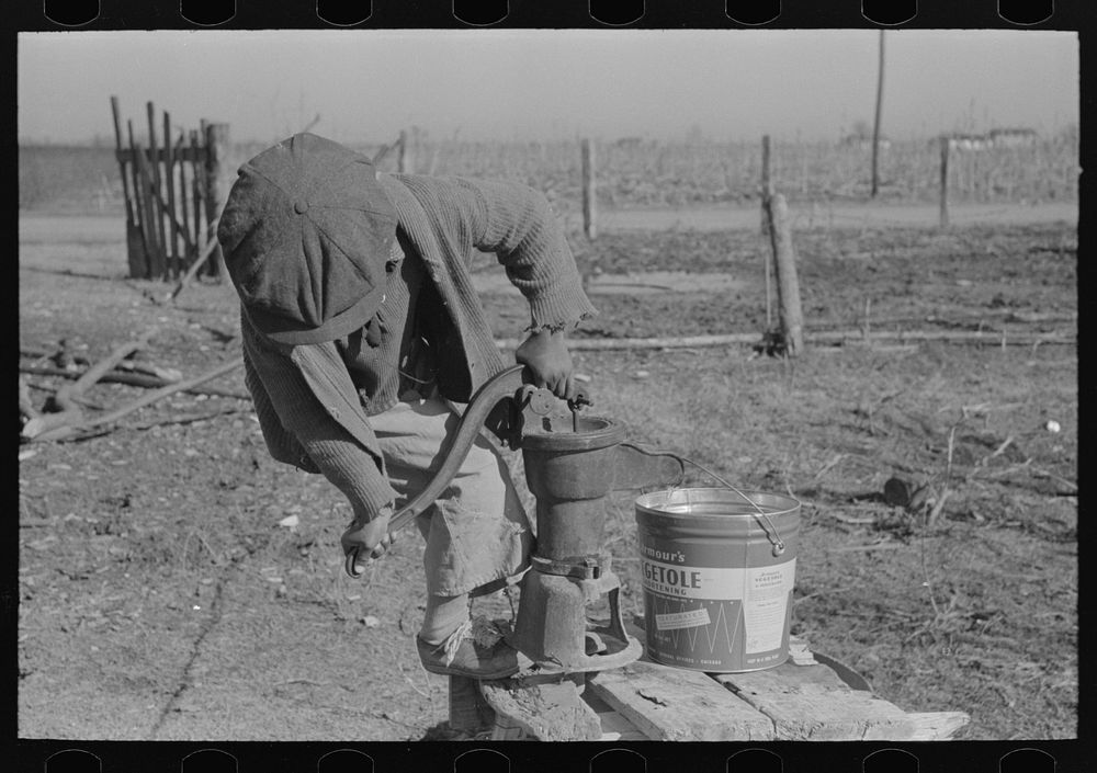 [Untitled photo, possibly related to: Children of  sharecropper pumping water. Family will be resettled at Transylvania…