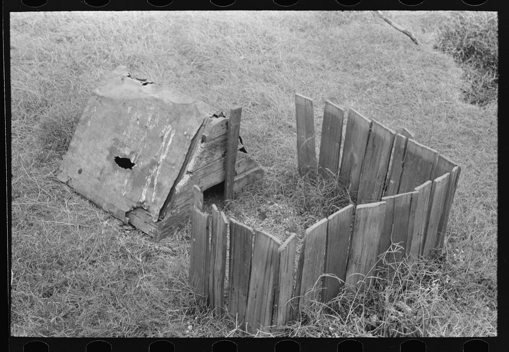 Brooder house of farmer who will shortly be helped by the FSA (Farm Security Administration) near Morganza, Louisiana. W.E.…