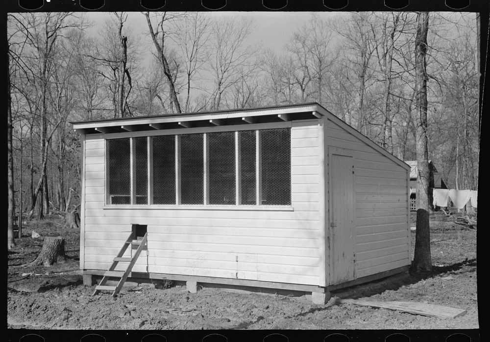 Chicken coop, Chicot Farms, Arkansas Free Photo rawpixel