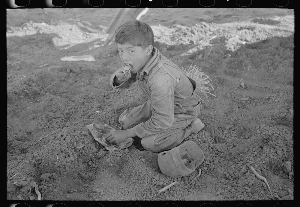Young Mexican boy, carrot worker, eating "second breakfast" in field near Santa Maria, Texas. The lunches of the Mexican…