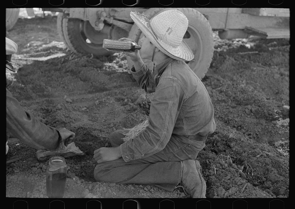 Young Mexican boy, carrot worker, eating "second breakfast" in field near Santa Maria, Texas. The lunches of the Mexican…