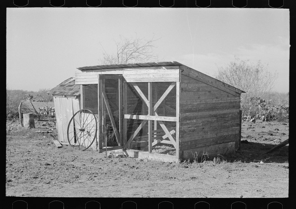 Chicken coop on farm of small vegetable farmer near Santa Maria, Texas by Russell Lee