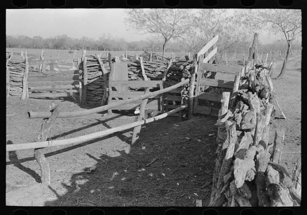 Corral of Mexican farm owner, Hidalgo County, Texas by Russell Lee