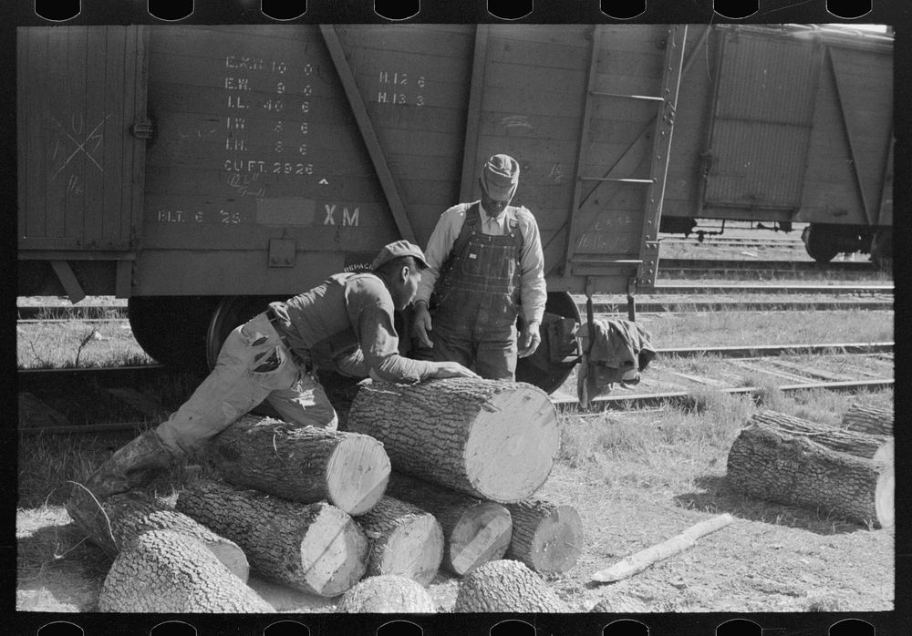 [Untitled photo, possibly related to:  resting on pile of logs to be loaded into box car, Eudora, Arkansas. These logs will…