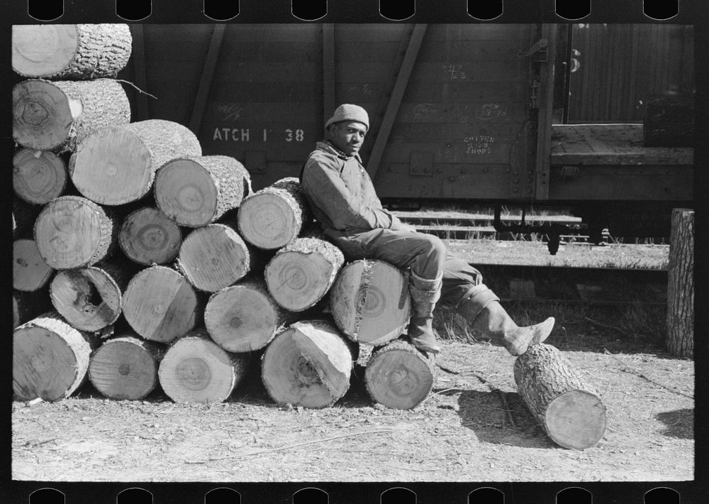  resting on pile of logs to be loaded into box car, Eudora, Arkansas. These logs will be shipped to Tallulah, Louisiana to…