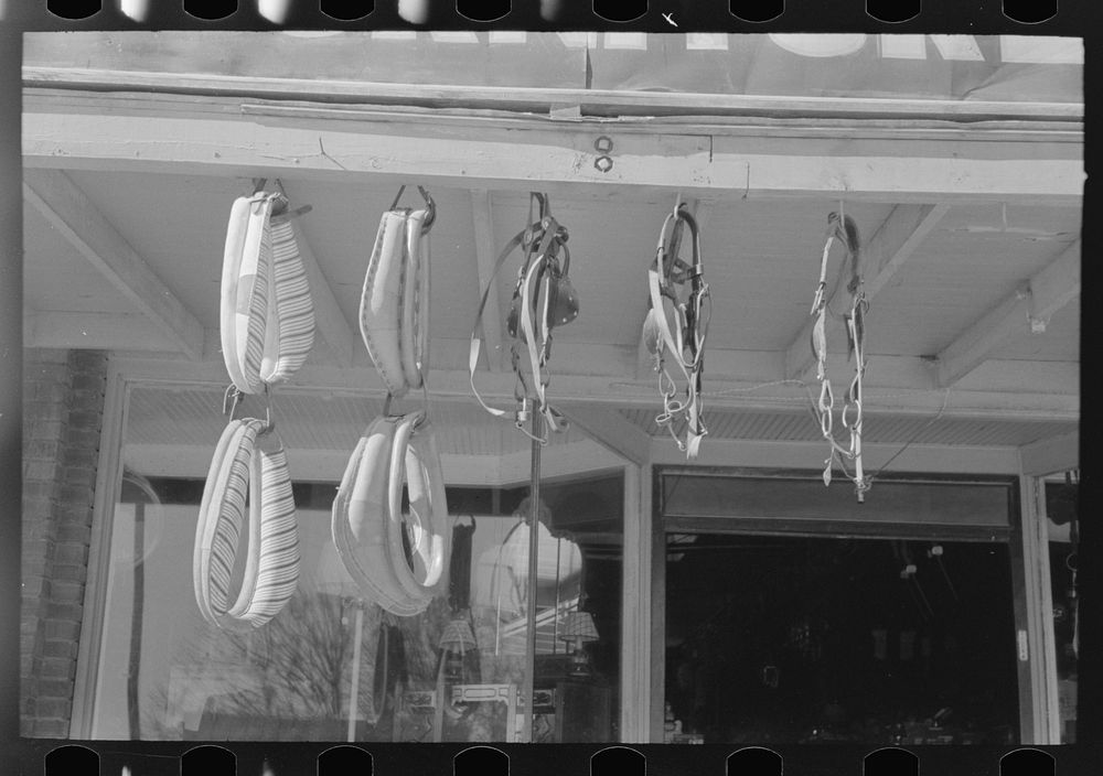 Horse collars and harness in front of store, Eudora, Arkansas by Russell Lee