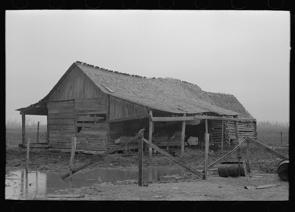 Barn of sharecropper near Pace, Mississippi. Background photo for Sunflower Plantation by Russell Lee