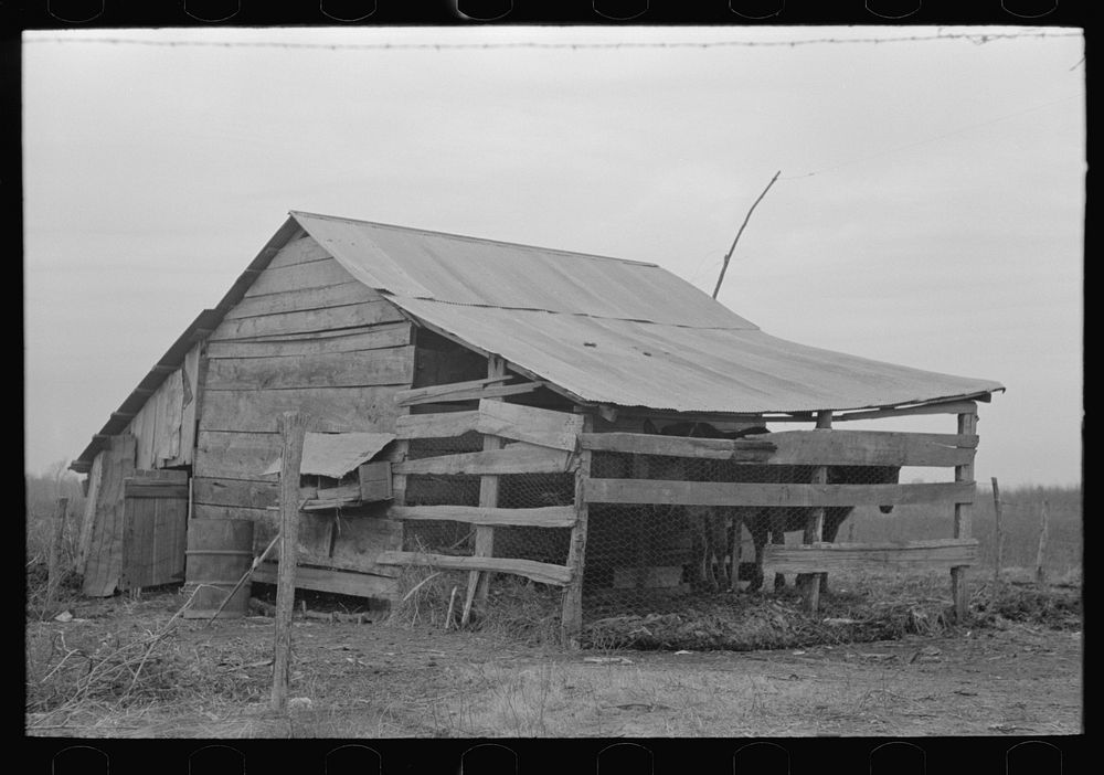 [Untitled photo, possibly related to: Barn of sharecropper near Pace, Mississippi. Background photo for Sunflower…