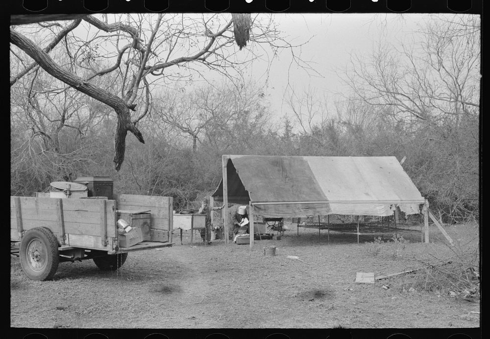 [Untitled photo, possibly related to: Setting up housekeeping in tent home near Harlingen, Texas] by Russell Lee