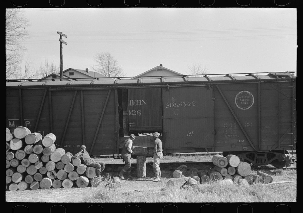 Loading logs to be made into barrel staves at Tallulah, Louisiana. Loading point, Eudora, Arkansas by Russell Lee