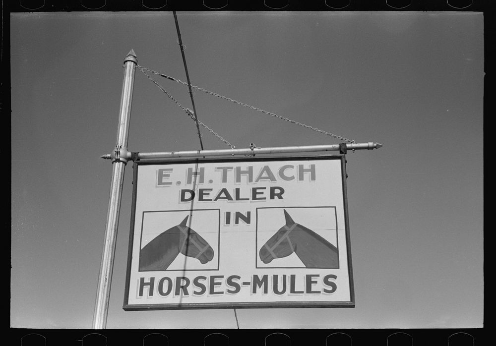 Sign of horse and mule dealer, Eudora, Arkansas by Russell Lee