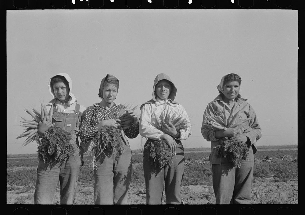 Mexican girl, carrot worker, Edinburg, Texas by Russell Lee