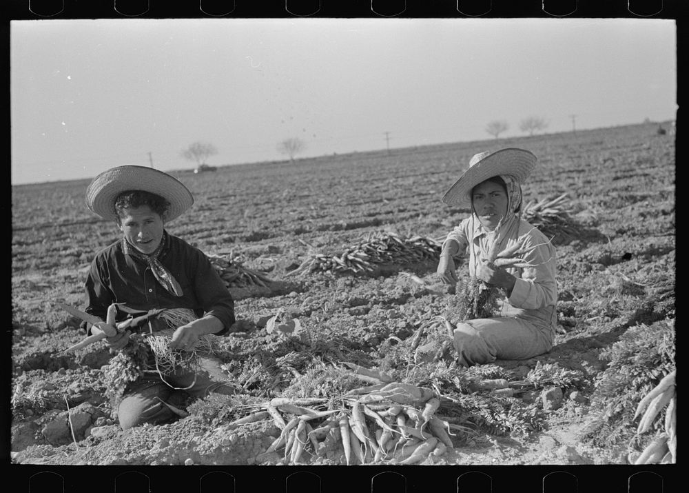 Young Mexican couple, carrot workers, Edinburg, Texas by Russell Lee