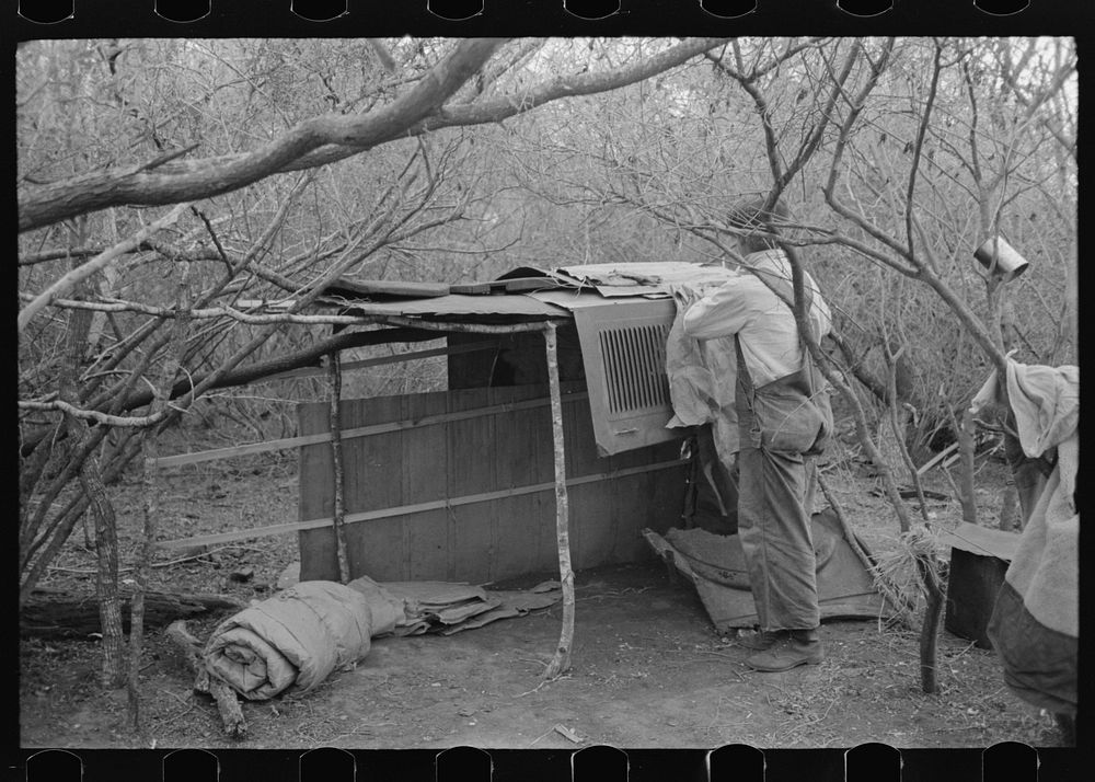White migrant worker living in camp with two other men, working on lean-to which is to be his sleeping quarters. Near…