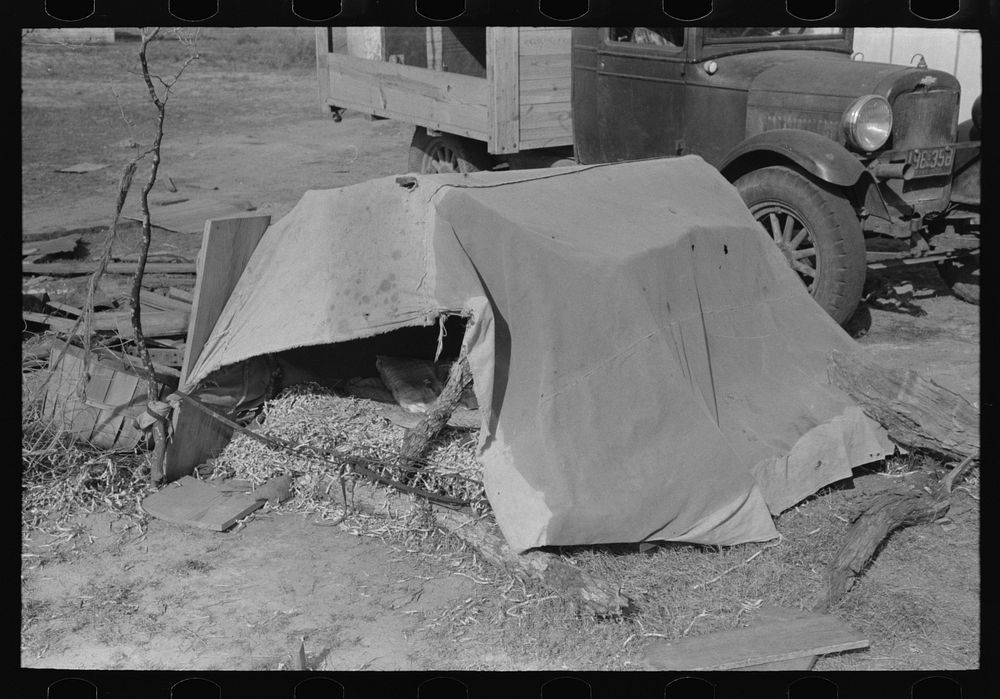 Tent in which migrant boy sleeps, Sebastin, Texas by Russell Lee