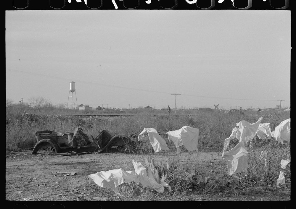 Laundry of migrant workers drying on mesquite brush, Edinburg, Texas by Russell Lee