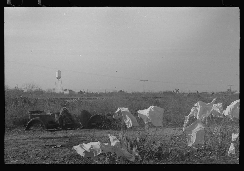 [Untitled photo, possibly related to: Laundry of migrant workers drying on mesquite brush, Edinburg, Texas] by Russell Lee