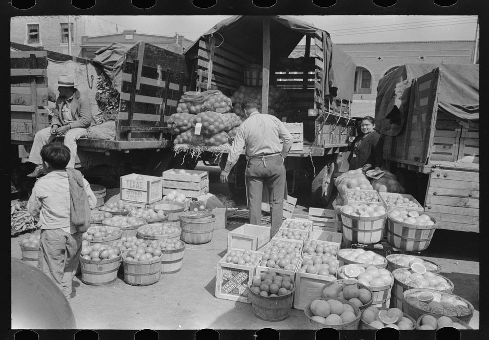 [Untitled photo, possibly related to: Citrus fruit displayed in fruit and vegetable market, San Antonio, Texas] by Russell…