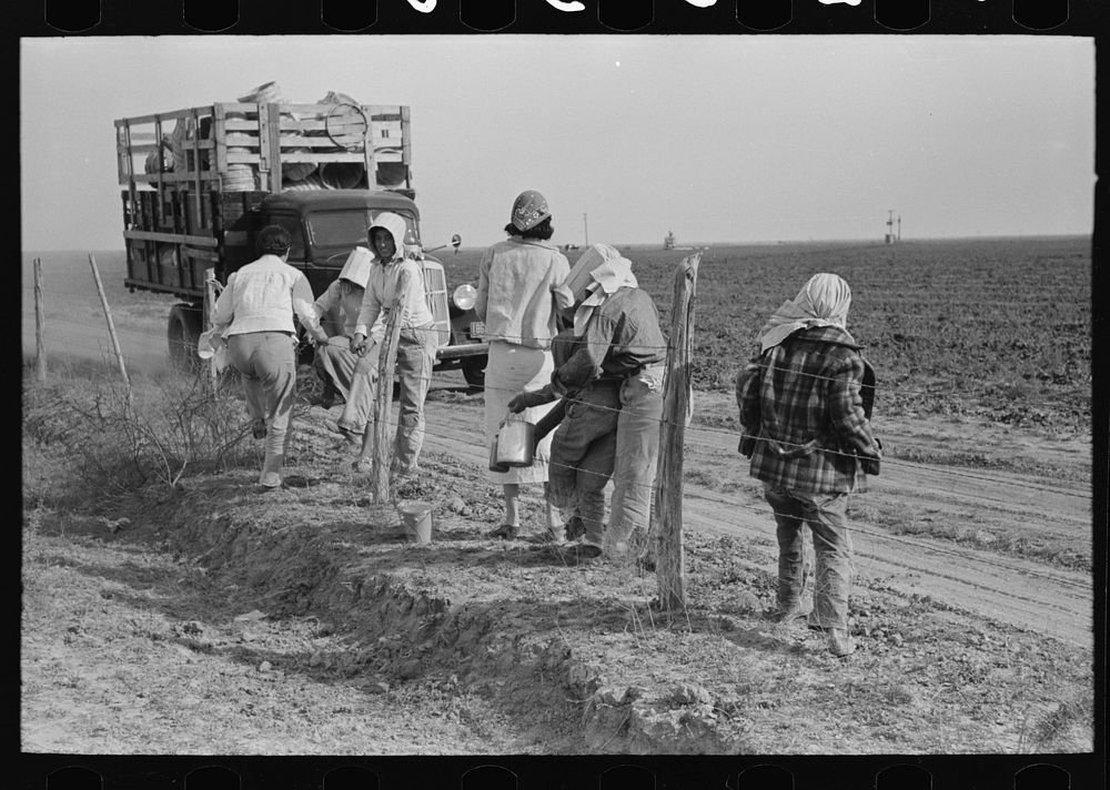 Mexican women arriving and unloading from truck at spinach field, La Pryor, Texas by Russell Lee