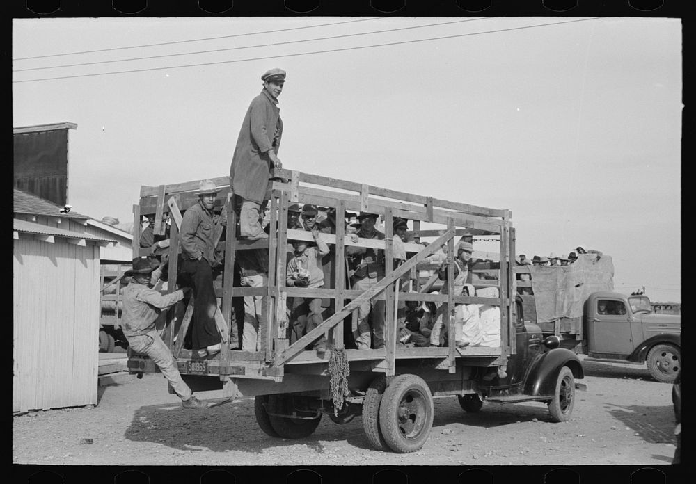Mexican spinach cutters leaving for work in the fields, La Pryor, Texas by Russell Lee