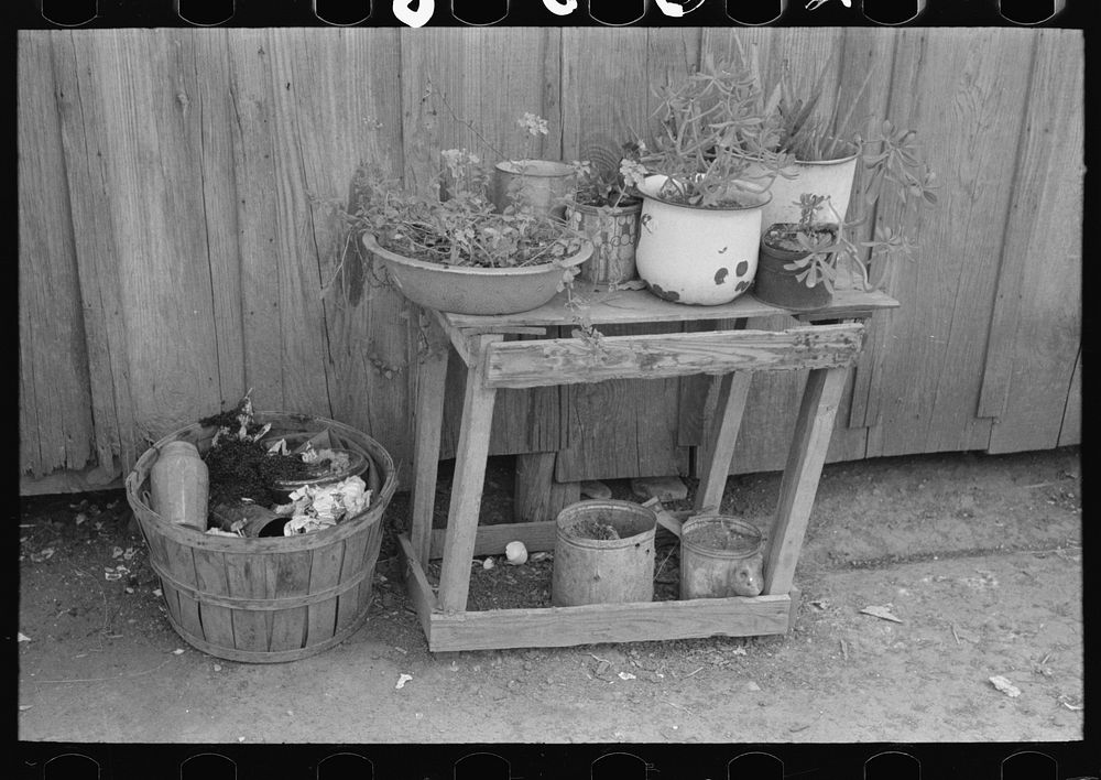 Uncollected garbage and pot plants in back yard of Mexican house, San Antonio, Texas by Russell Lee