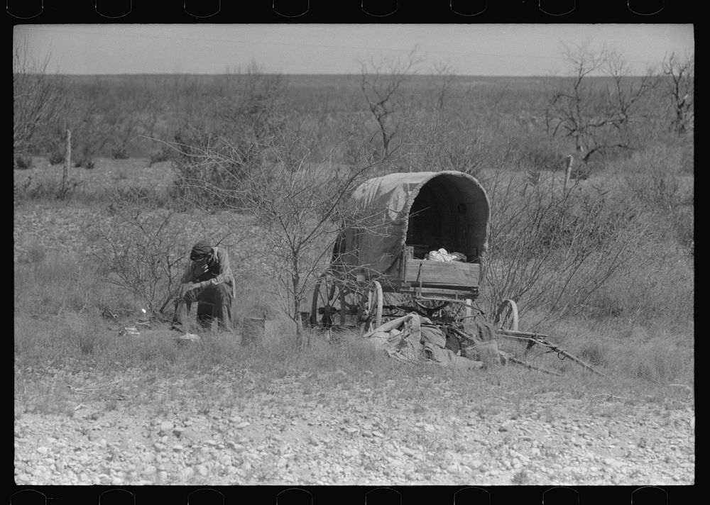 [Untitled photo, possibly related to: Man encamped in the mesquite near Uvalde, Texas] by Russell Lee