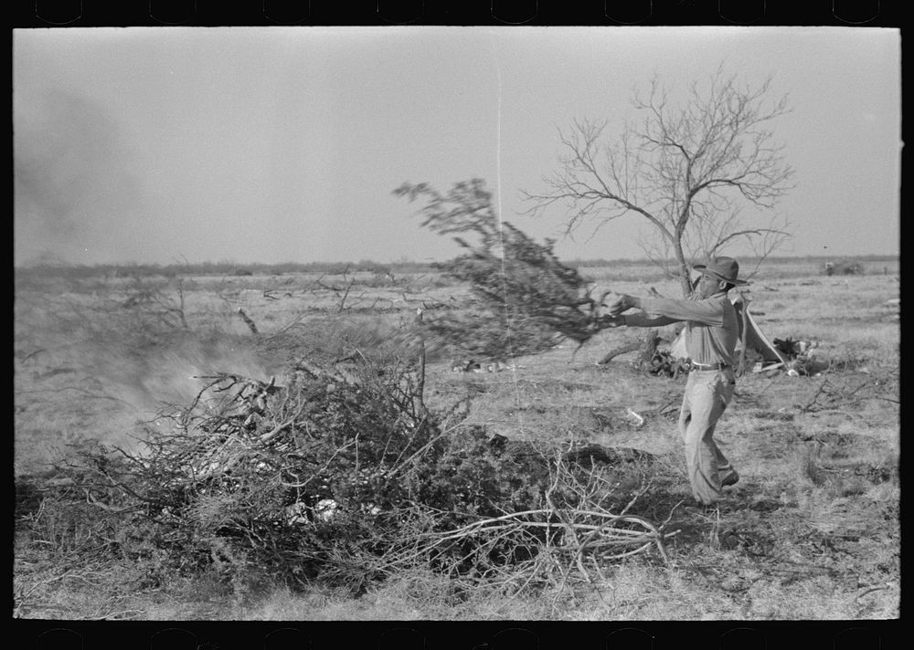 Throwing brush onto fire in process of clearing land, El Indio, Texas by Russell Lee