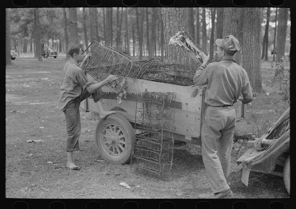 White migrant strawberry picker unloading automobile cushion springs from trailer. These will be used as bed springs.…