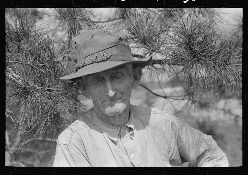 [Untitled photo, possibly related to: East Texas farm owner near Harleton, Texas] by Russell Lee