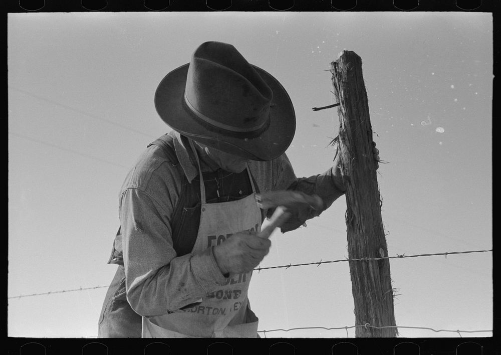 [Untitled photo, possibly related to: Putting up barbed wire fence on the Milton farm at El Indio, Texas] by Russell Lee