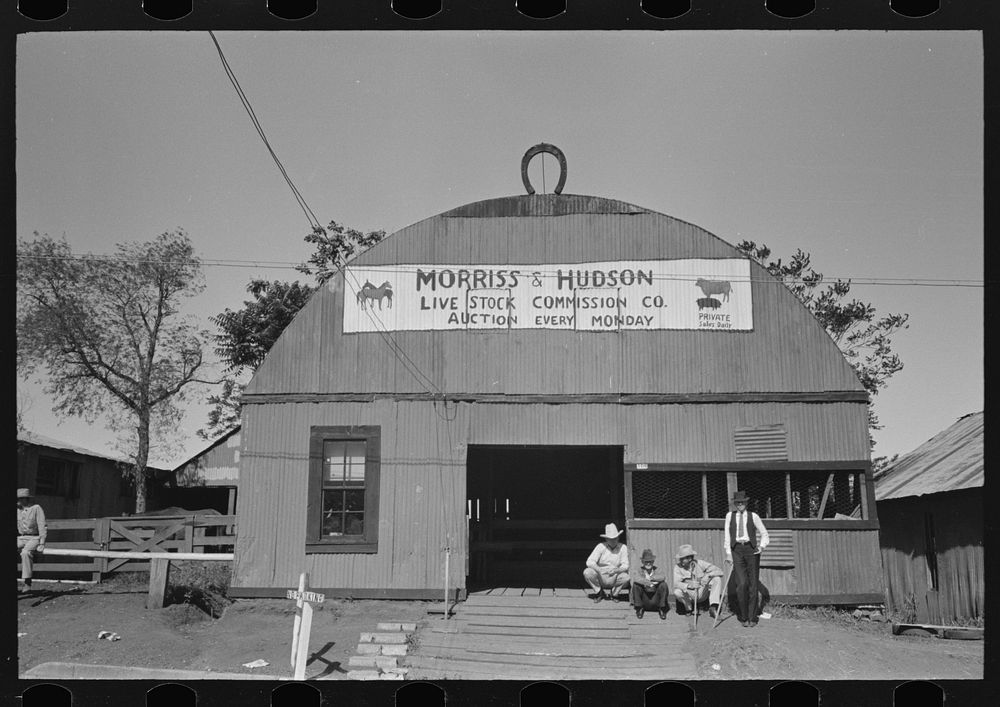 [Untitled photo, possibly related to: Livestock auction house, San Augustine, Texas] by Russell Lee