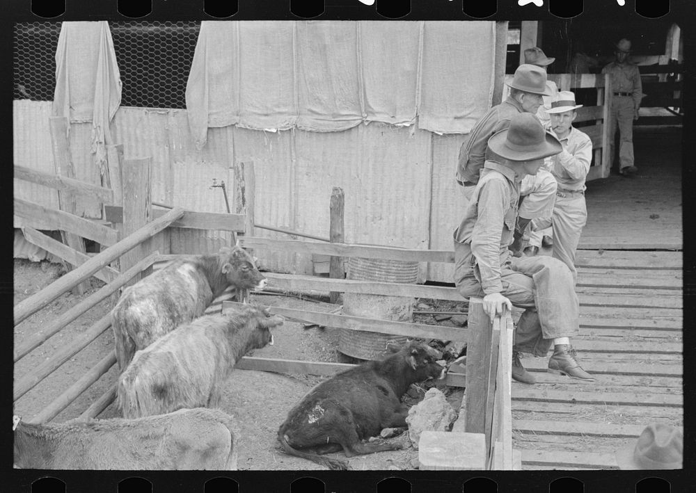 Cattle pens and farmers at auction yard, San Augustine, Texas by Russell Lee