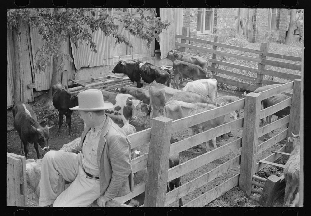 Cattle pens and farmers at auction yard, San Augustine, Texas by Russell Lee