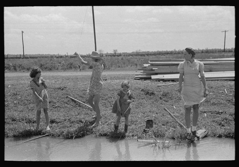 Fishing for crawfish, Opelousas, Louisiana by Russell Lee