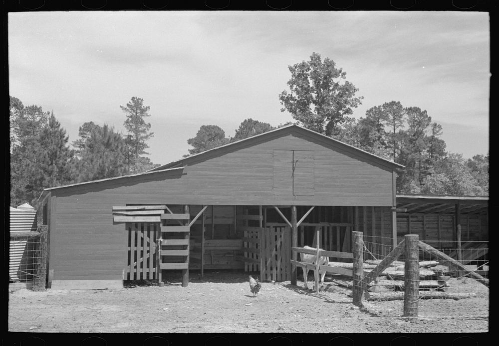 Barnyard of FSA (Farm Security Administration) client, Sabine Farms, Marshall, Texas by Russell Lee