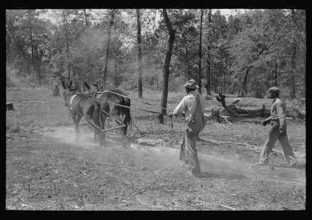 Snaking log land clearing operations, | Free Photo - rawpixel