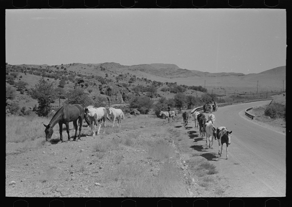 Caravan of tanking crew and horses belonging to cattle ranch near Marfa, Texas by Russell Lee