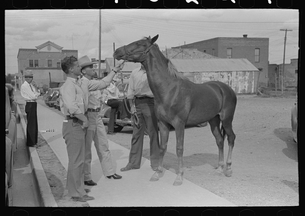 Displaying a horse for sale on the streets of Alpine, Texas by Russell Lee
