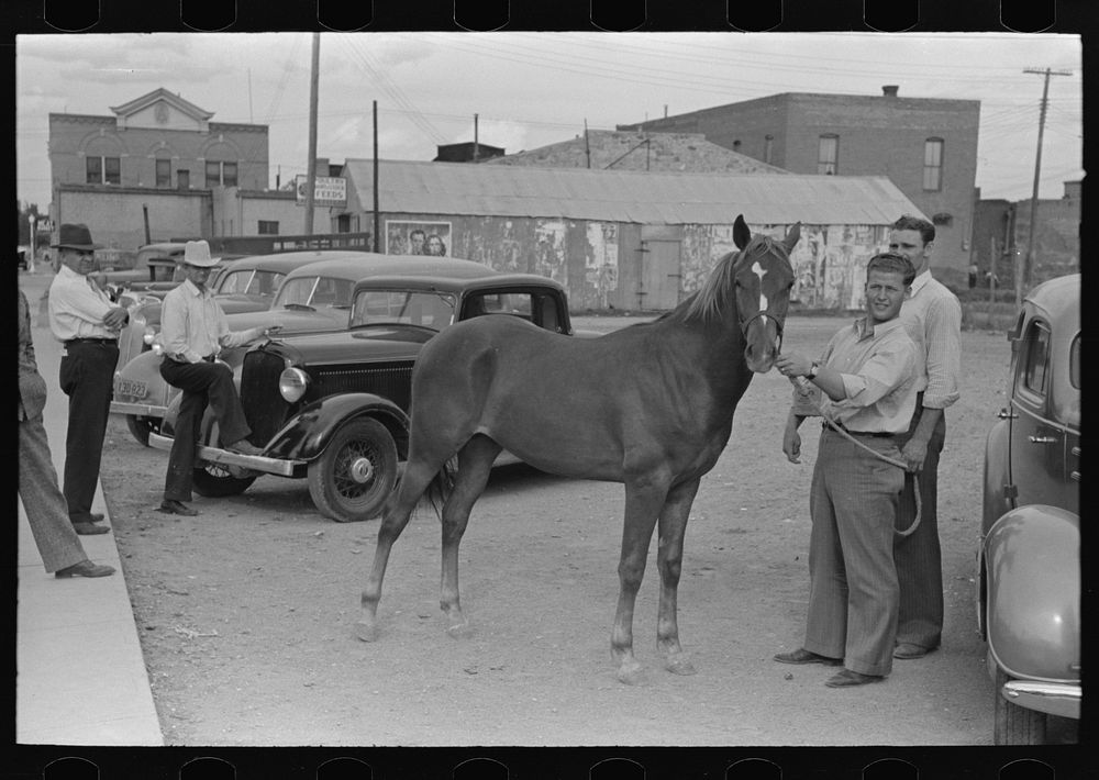 [Untitled photo, possibly related to: Displaying a horse for sale on the streets of Alpine, Texas] by Russell Lee
