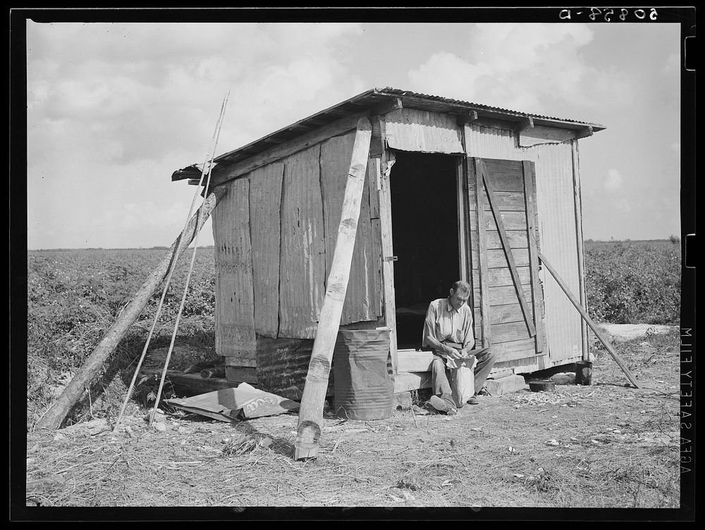 [Untitled photo, possibly related to: Old shack, formerly a field house, lived in by migrant agricultural laborer from…