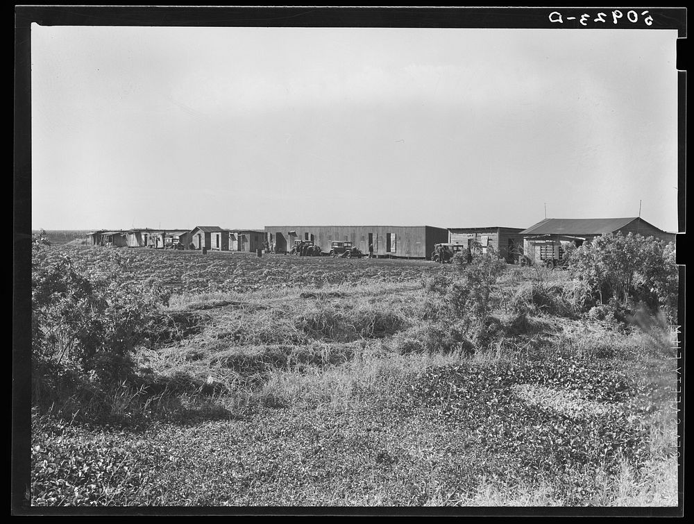 migrant agricultural workers quarters near Belle Glade, Florida. Sourced from the Library of Congress.