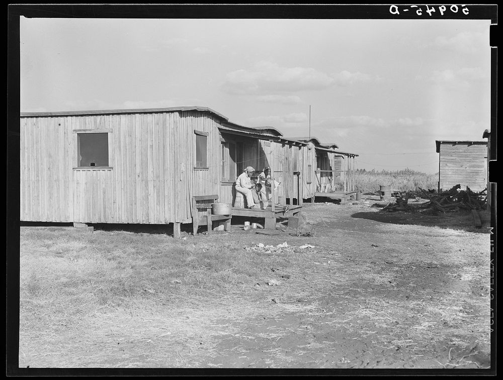 [Untitled photo, possibly related to:  quarters for migrant agricultural workers. Lake Harbor, Florida]. Sourced from the…