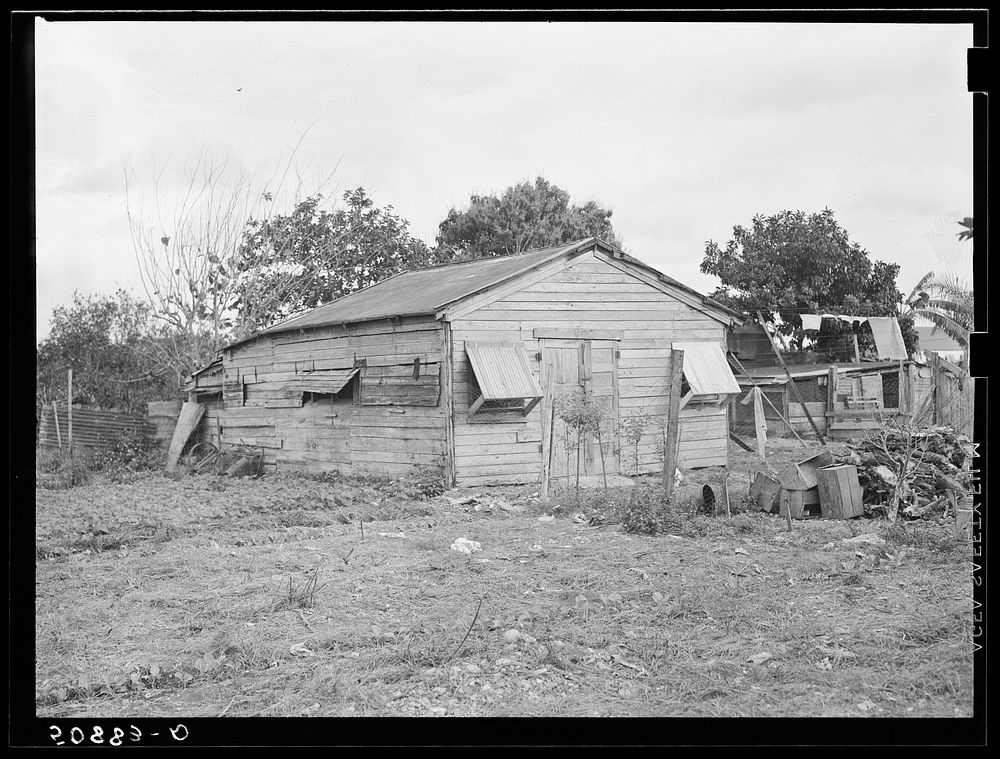 Old goat house. The front part cleaned out and converted into living quarters for migrant agricultural workers (white boys)…