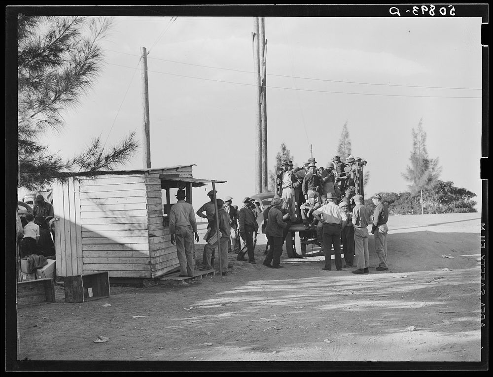 Loading bean pickers. Lake Harbor, Florida. Sourced from the Library of Congress.