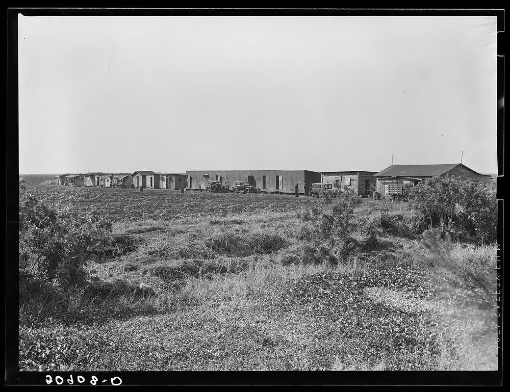 [Untitled photo, possibly related to:  migrant agricultural workers quarters near Belle Glade, Florida]. Sourced from the…