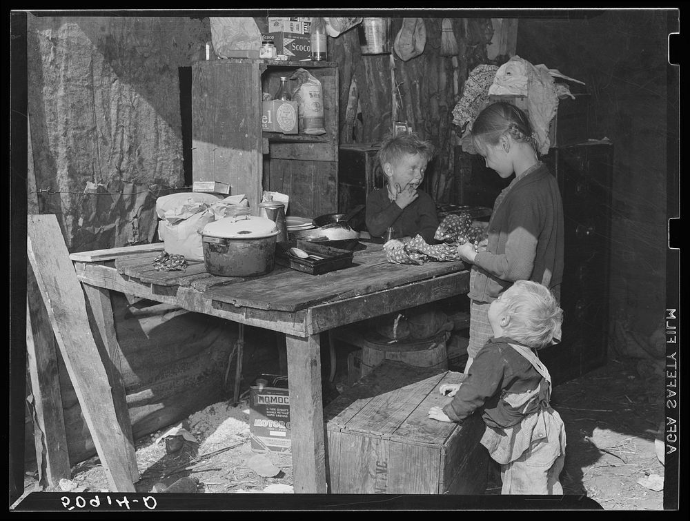 Children of migrant packinghouse workers, living in a "lean-to" made of pieces of rusty galvanized tin and burlap. They are…