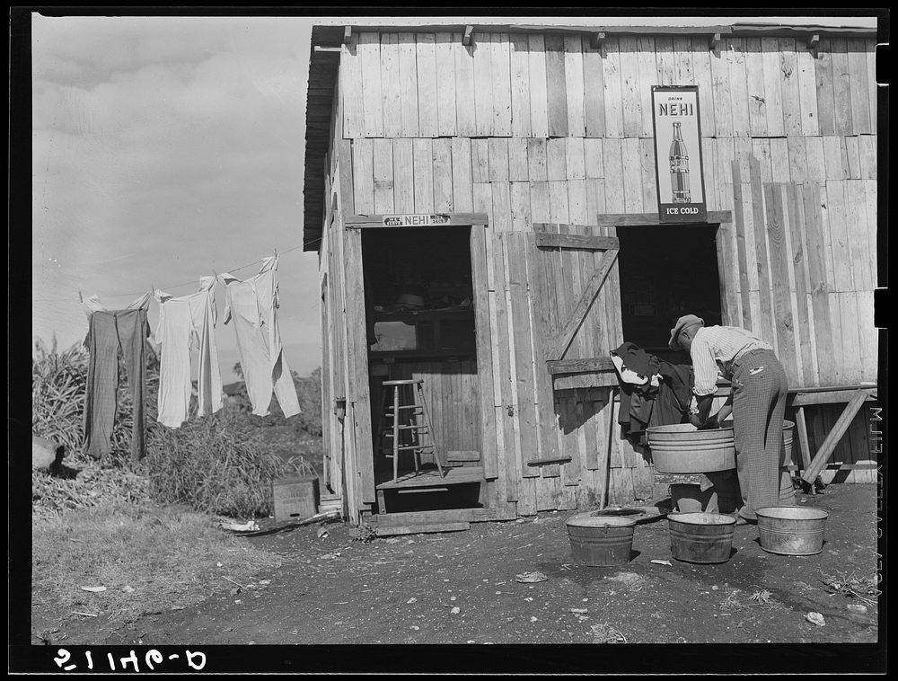 Migrant vegetable pickers. The tailor and cleaner to the laborers near Lake Harbor, Florida. Sourced from the Library of…