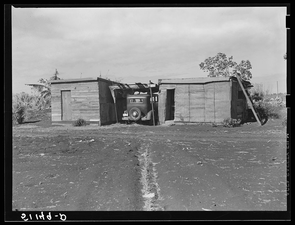 Migrant vegetable pickers living quarters near Lake Harbor, Florida. Sourced from the Library of Congress.