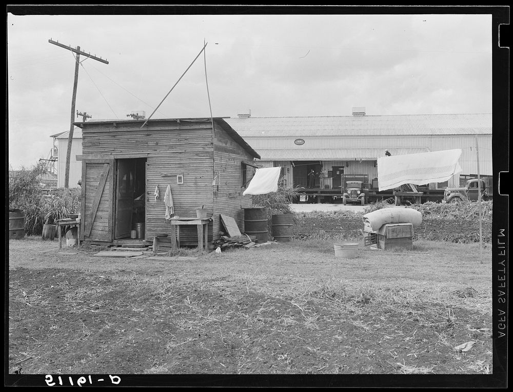 Migratory packinghouse workers living quarters. Belle Glade, Florida. Sourced from the Library of Congress.